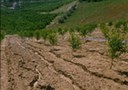 Soil erosion information system