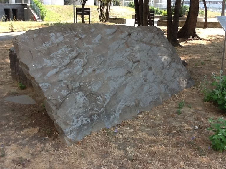 Marnoso-arenacea formation (turbidites) - flutcasts