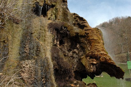 Large Limestone Precipitating Springs (LPS) (Labante, Bologna province)
