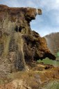 Large Limestone Precipitating Springs (LPS) (Labante, Bologna province)