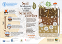 Infographics FAO Soil
