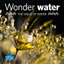 Wonder water