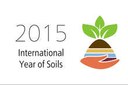 International year of soil