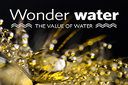 Wonder water - the value of water