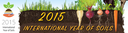 YIS 2015-banner 