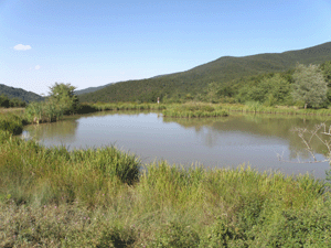 Pond coming down from the Passenger (author M. Pattuelli)