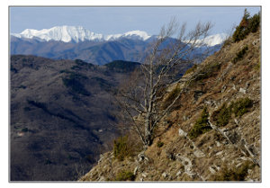 Corno alle Scale from Scalette (author BruneroLucarini)