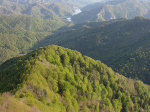 Panorama from Mount Penna (archivie Parco nazionale Foreste casentinesi)