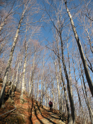 Going up to lake Santo modenese (author A. Lizzani)
