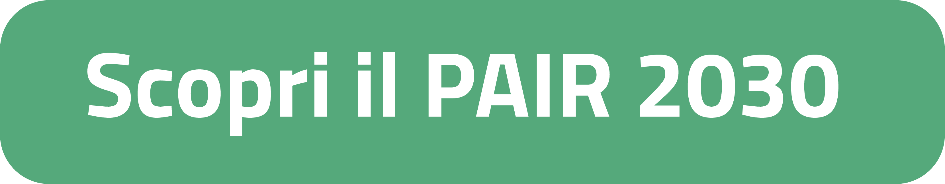 Scopri il PAIR 2030
