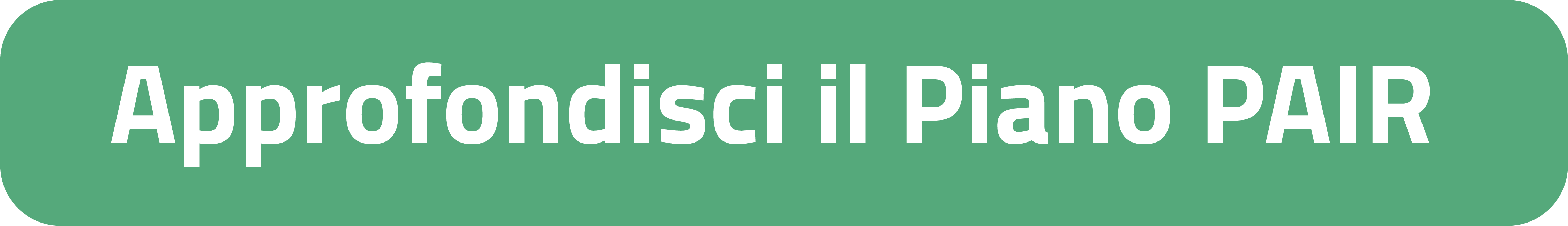 Approfondisci il Piano PAIR