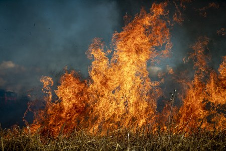 Vietato bruciare i residui vegetali agricoli e forestali nei Comuni di pianura