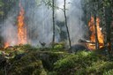 Rischio incendi boschivi basso: colore Verde fino a martedì 2 maggio