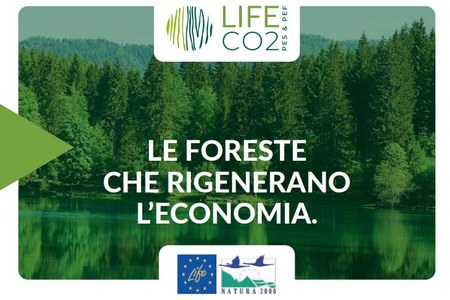 Le foreste che rigenerano l'economia progetto LIFE CO2PES&PES, formato Pdf