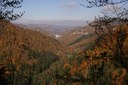 foto: La Foresta della Lama vista dagli Scalandrini (Fonte Archivio Parco nazionale Foreste Casentinesi)
