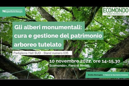 ECOMONDO 2022: Gli alberi monumentali: cura e gestione del patrimonio arboreo tutelato