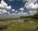 La riserva della biosfera del delta del Po