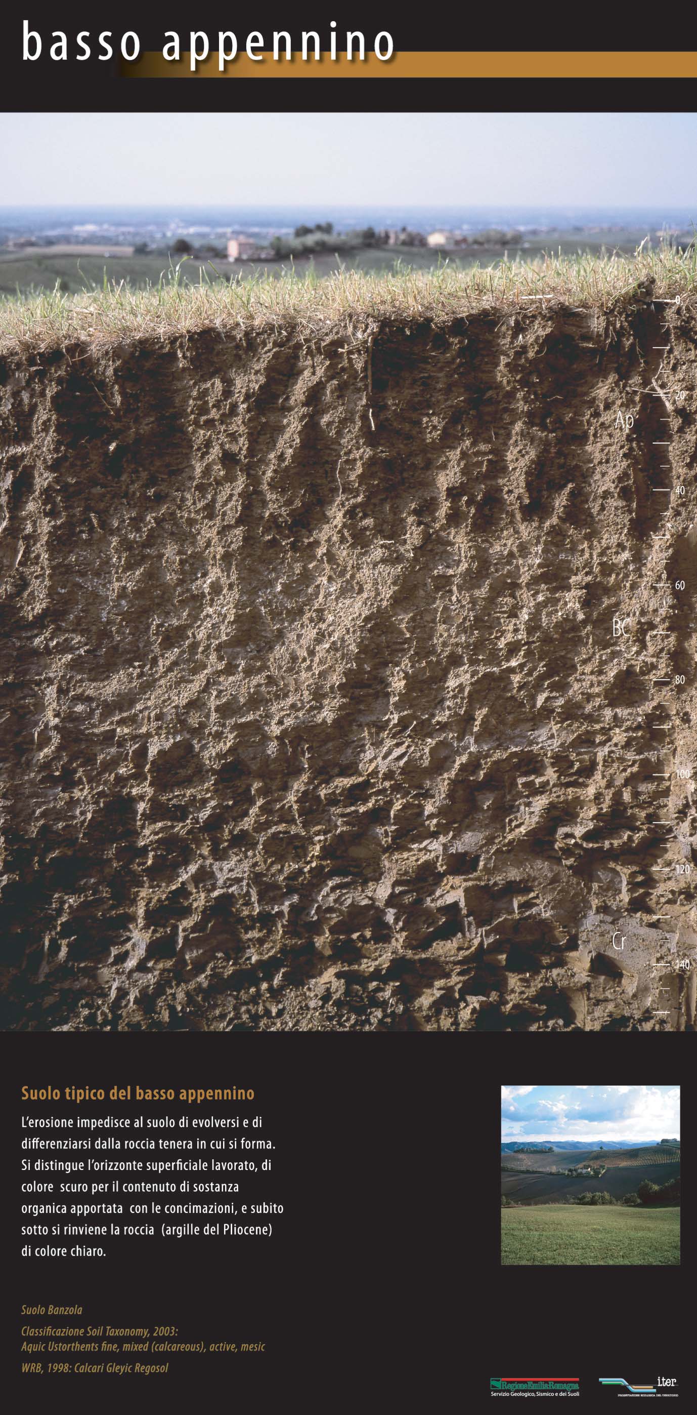 Suolo tipico del basso Appennino