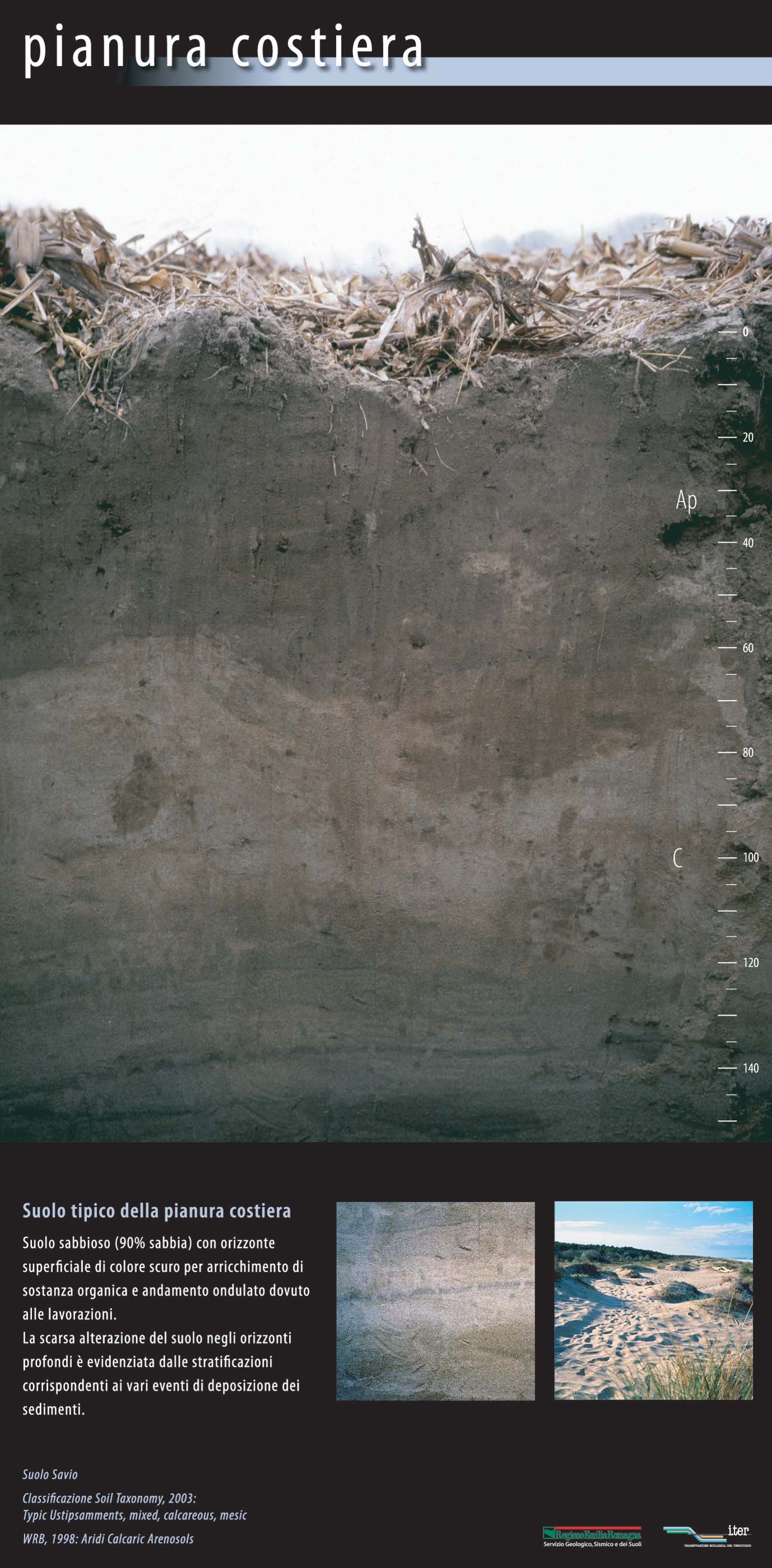 Suolo tipico della pianura costiera