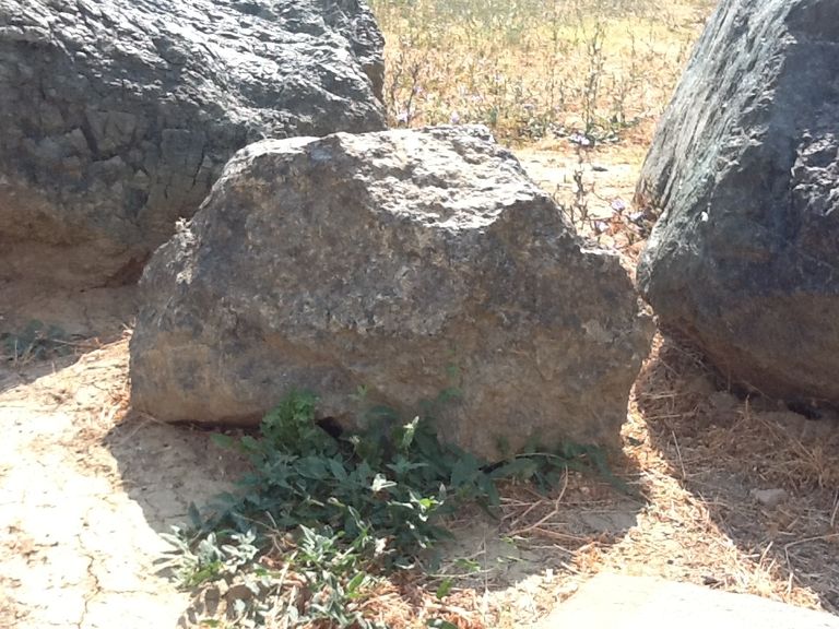Gabbro