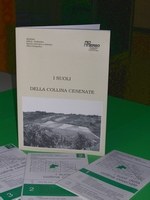 Volume di 98 pagine + carta dei suoli in scala 1:25.000 + carte: geologica, rischi di franosità, rischio di erosione idrica: situazione attuale, rischio di erosione idrica: dopo miglioramenti (tecniche agrobiologiche conservative) in scala 1:50.000 + carte: capacità d'uso dei suoli, e attitudine delle terre ad utilizzazioni agricole: coltivazione del pesco, della vite, del frumento in scala 1:50.000