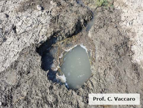 Fuoriuscite di gas da pozzi per acqua o dal terreno, Vigarano, 2014
