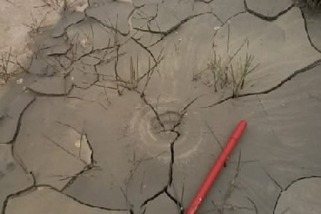Impronta sul fango non consolidato