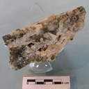 Millerite, cristalli in Oficalce