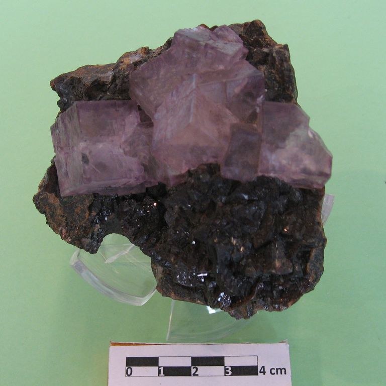 Fluorite, cristalli cubici violetti su Blenda