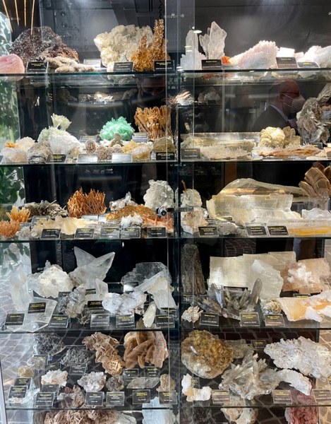 Una delle vetrine con alcuni dei 270 minerali donati da Mario Gallerani