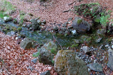 La sorgente dei lagacci oggetto del campionamento (provincia di Piacenza)