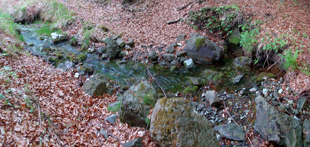 La sorgente dei lagacci oggetto del campionamento (provincia di Piacenza)