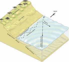 Schema 3D dinamica costiera