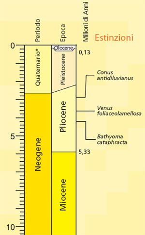 Pannello 3 - Scala tempo geologico