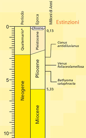 Scala tempo geologico