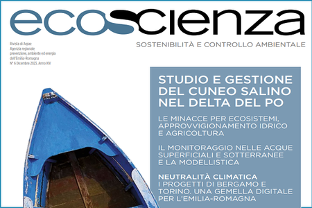Studio e gestione del cuneo salino. Online Ecoscienza 6/2023