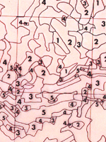 Carta che classifica il territorio collinare e montano sulla base della pendenza.(Ed. 1976-1981)