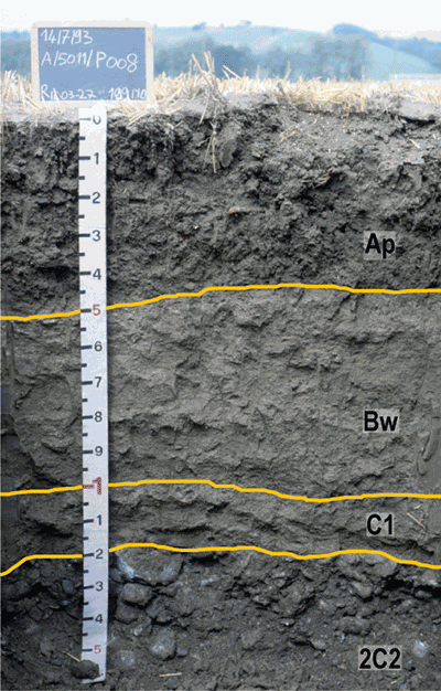 profilo di suolo tipico di terrazzi alluvionali recenti