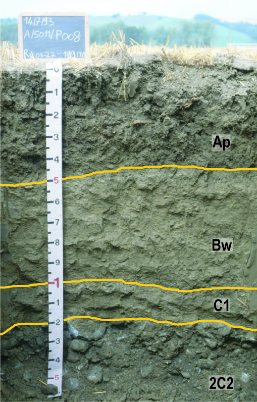Profilo di suolo