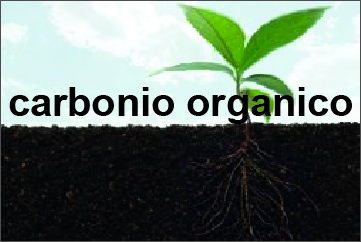 Banner carbonio organico
