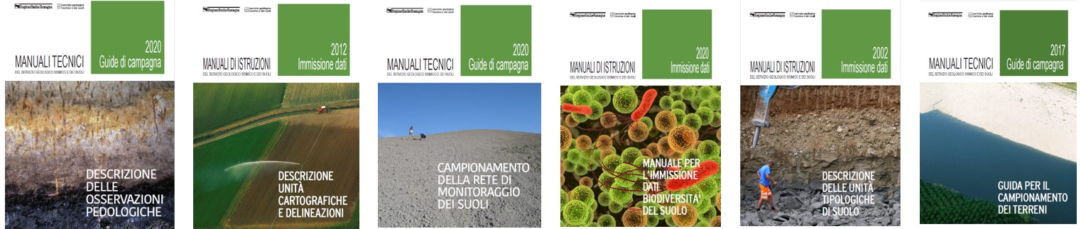 esempi di copertine di manuali di campagna