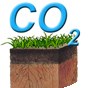CO2 nei suoli