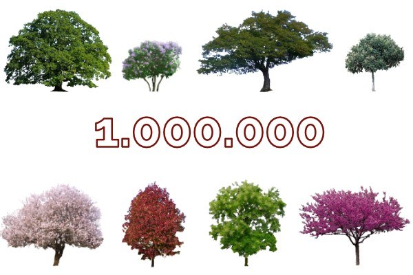 mettiamo radici 1 mil alberi