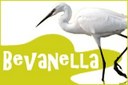 bevanella_logo