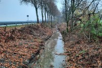 Conclusa la manutenzione ordinaria di opere idrauliche nel bacino Parma e Baganza in località Fontanini e Calicella