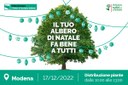 A Modena arriva "Mettiamo radici per il futuro": il 17 dicembre vieni a ritirare il tuo albero