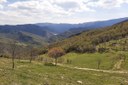 Oltre 4 milioni di euro per rafforzare la tutela delle aree forestali dell’Emilia-Romagna