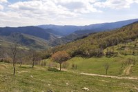 Oltre 4 milioni di euro per rafforzare la tutela delle aree forestali dell’Emilia-Romagna