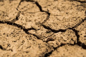 Siccità, confermati gravi deficit idrici in Emilia-Romagna