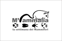 Festival M'ammalia, incontro "I grandi mammiferi tra realtà e falsi miti"